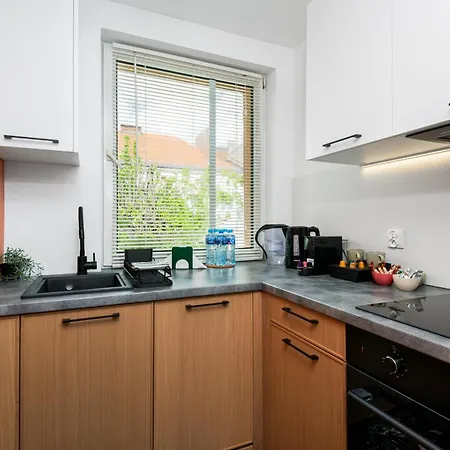 Kairos - Chopin Ii - Scisle Centrum Lejlighed Gliwice